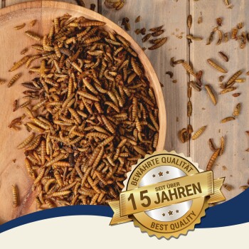 Schüssel mit getrockneten Mehlwürmern auf einem Holztisch, goldenes Abzeichen mit den Aufschriften 'Seit über 15 Jahren', 'Bewährte Qualität', 'Best Quality'.