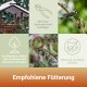 Vogelfutterstelle mit Vögeln beim Fressen, Specht auf Fettfutterring und deutschem Text über das Sichern und Schützen von Futterplätzen vor Katzen.