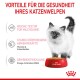 Ein flauschiges weißes Kätzchen steht neben einer roten Schüssel von Royal Canin, mit Text über Gesundheitsvorteile für Kätzchen auf Deutsch.
