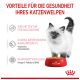 Ein flauschiges weißes Kätzchen steht neben einer roten Schüssel von Royal Canin, mit Text über Gesundheitsvorteile für Kätzchen auf Deutsch.