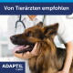 Tierarzt hält den Kopf eines Deutschen Schäferhunds, Stethoskop sichtbar; Text: „Von Tierärzten empfohlen“ und „ADAPTIL Calm“.