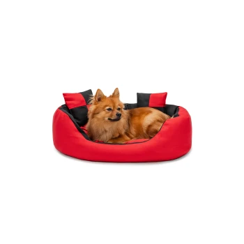 4-in-1 Hundebett S Ein flauschiger Pomeranian-Hund, der sich bequem in einem rot-schwarzen Haustierbett ausruht.