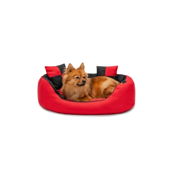 Ein flauschiger Pomeranian-Hund, der sich bequem in einem rot-schwarzen Haustierbett ausruht.