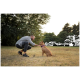 Mann hockt auf einem Grasfeld und streichelt einen hellbraunen Hund mit lila Halsband.