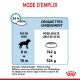 Instructions pour la nourriture pour chiens : guide d'alimentation sur 24 heures, âge 8-18 mois, poids cible 60 kg, recommandé 742g à 526g.