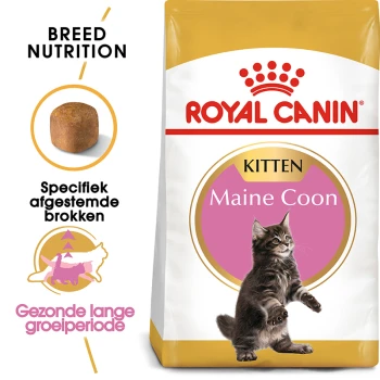 Royal Canin Maine Coon kittenvoerzak met een speelse Maine Coon kitten, met tekst die de voeding voor het ras en gezonde groei benadrukt.