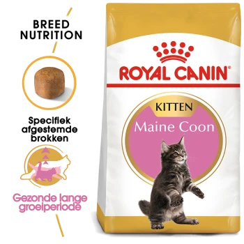 Royal Canin Maine Coon kittenvoerzak met een speelse Maine Coon kitten, met tekst die de voeding voor het ras en gezonde groei benadrukt.