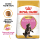 Royal Canin Maine Coon kittenvoerzak met een speelse Maine Coon kitten, met tekst die de voeding voor het ras en gezonde groei benadrukt.