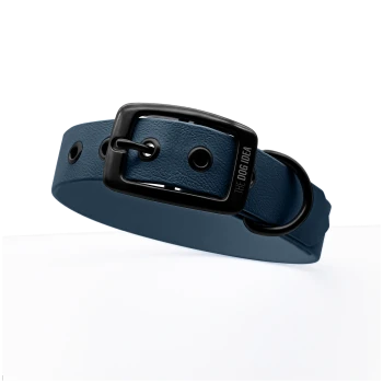 Ein stilvoller blauer Hundehalsband mit einer schwarzen Schnalle und einem Metallring, mit dem Text "THE DOG IDEA" auf dem Riemen geprägt.
