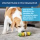 Beagle-Hund spielt mit einem Kauspielzeug auf einem Teppich, mit Textüberlagerung, die eine Ablenkung für gelangweilte Haustiere bewirbt.