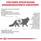 Infografik über Haustiernahrung, die Harnkristalle, ihre Rolle bei der Bildung von Blasensteinen und die Auswirkungen von Übergewicht auf die Gesundheit von Haustieren hervorhebt.