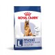 SHN Maxi Adult 5+ 4 kg