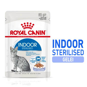 Royal Canin Indoor Sterilised kattenvoerzak met een grijze tabby kat, met tekst die 'Indoor Sterilised' en voedingsvoordelen benadrukt.