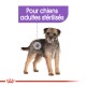 Image d'un petit chien avec un pelage marron et noir, étiqueté "Pour chiens adultes stérilisés" indiquant qu'il est destiné aux chiens adultes stérilisés.