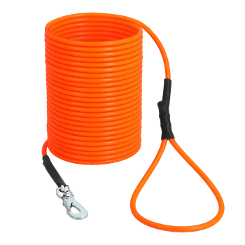 Leuchtend orangefarbene aufgerollte Hundeleine mit Metallclip und schwarzer verstärkter Griffschlaufe, isoliert auf weißem Hintergrund.