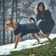 Hundemantel Uppsala Softshell schwarz 50 cm