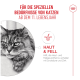 Grau getigerte Katze mit deutschem Text über spezielle Pflege für Katzen über 11 Jahre, mit Fokus auf Haut- und Fellgesundheit.