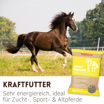 Braunes Pferd läuft auf einem Feld neben einem gelben Beutel Supravit Maiscobs Pferdefutter, beschriftet mit „Kraftfutter“ und deutschem Text.