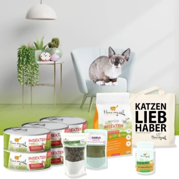 Eine Siamkatze sitzt auf einem blauen Stuhl in einem modernen Raum mit grünem Boden, umgeben von Tierfutterprodukten und einer Tragetasche.