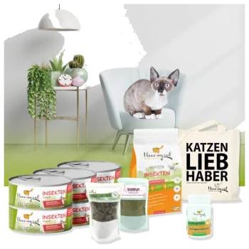 Eine Siamkatze sitzt auf einem blauen Stuhl in einem modernen Raum mit grünem Boden, umgeben von Tierfutterprodukten und einer Tragetasche.