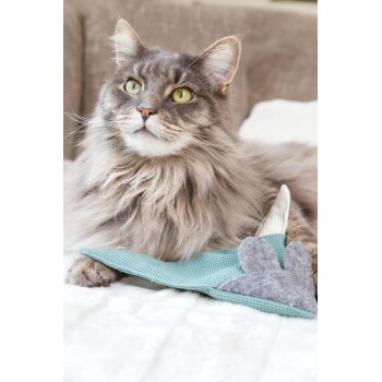 Flauschige graue Katze mit grünen Augen liegt auf einem Bett neben einem blauen und grauen Stoff-Katzenspielzeug.