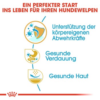 Ein perfekter Start ins Leben für Ihren Hundewelpen: Unterstützung der körpereigenen Abwehrkräfte, gesunde Verdauung, gesunde Haut.