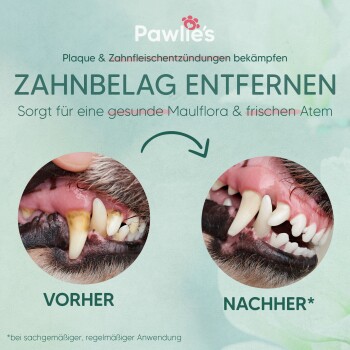 Bild, das die Zähne eines Hundes vor und nach der Zahnsteinentfernung vergleicht. Text: "Zahnstein entfernen für einen gesunden Mund und frischen Atem."