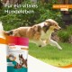 Ein rennender Hund in einem grünen Garten neben einem Beutel beaphar Flexifit Snacks, beschriftet mit "Wartungsstufe 1," der Vitalität für Hunde fördert.