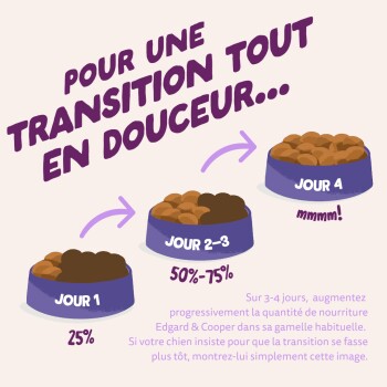 Illustration de trois gamelles pour chiens : «Jour 1 25%», «Jour 2-3 50%-75%», «Jour 4» avec le titre «Pour une transition tout en douceur...».