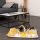 Getigert-weiße Katze schnuppert an einer gelb-beigen Schnüffelmatte auf dem Boden neben einem Sofa und einem Couchtisch.