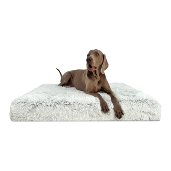 Ein entspannter brauner Hund, der auf einem flauschigen weißen Haustierbett liegt und zur Kamera schaut, mit herausgestreckter Zunge.