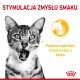 Zabawny tabby kot z otwartą buzią, obok tekstu "STYMULACJA ZMYSŁU SMAKU" i "Pobudza wybredny zmysł smaku u kotów."