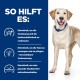 Ein gelber Labrador Retriever auf einem blauen Hintergrund mit Text, der Vorteile für die Gesundheit von Haustieren hervorhebt, wie Verdauung und Hautpflege.
