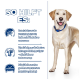 Ein gelber Labrador Retriever auf einem blauen Hintergrund mit Text, der Vorteile für die Gesundheit von Haustieren hervorhebt, wie Verdauung und Hautpflege.