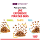Image promouvant une nouvelle expérience alimentaire sensorielle pour animaux, mettant en avant les mots "ODEUR," "GOÛT," et "TOUCHER" avec des textures alimentaires correspondantes.
