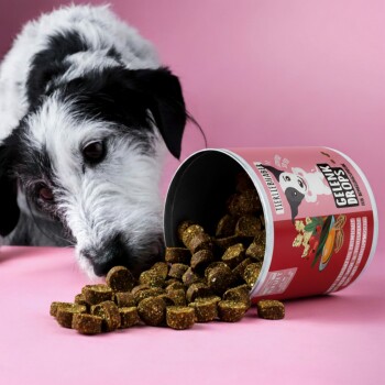 Ein neugieriger Hund schnüffelt an einem verschütteten Haufen goldbrauner Haustierleckerlis aus einem roten Behälter mit der Aufschrift "Gelenk Drops" auf einem rosa Hintergrund.