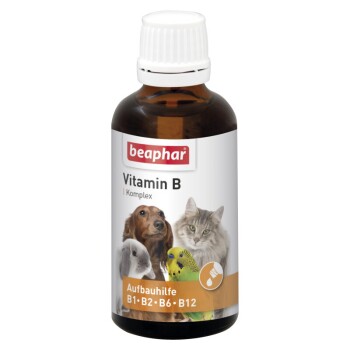 Complexe vitamine B 50 ml
