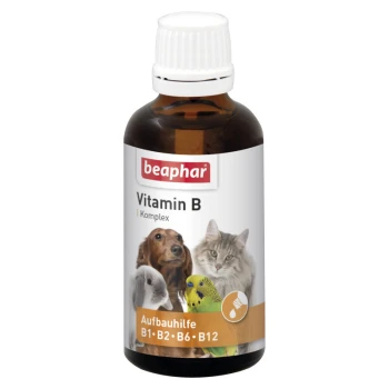 Kompleks witamin B 50 ml