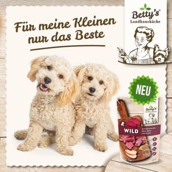Zwei flauschige hellfarbene Hunde sitzen vor einem cremefarbenen Hintergrund mit 'Für meine Kleinen nur das Beste' und einem 'Betty's Landhausküche' Paket.