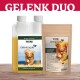 Gelenk Duo Haustier-Nahrungsergänzungsmittel mit einer Flasche Gelenk Flüssigkeit und einem Paket Gelenk Tabs, die Bewegung und Aktivität für Hunde fördern.