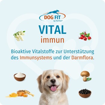 Dog FIT 'VITAL immun' Anzeige: kleiner Hund, natürliche Zutaten-Icons und deutscher Text über Unterstützung von Immunsystem und Darm