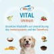 Dog FIT 'VITAL immun' Anzeige: kleiner Hund, natürliche Zutaten-Icons und deutscher Text über Unterstützung von Immunsystem und Darm