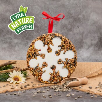 Ein runder Vogelfutterornament in Form einer Schneeflocke, dekoriert mit weißem Zuckerguss, hängt von einem Baumzweig mit einem roten Band.