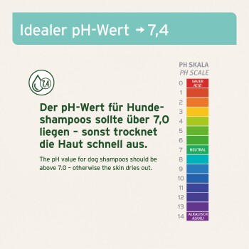 Infografik über den idealen pH-Wert für Hundeshampoos, der über 7,0 liegen sollte, um Hauttrockenheit zu verhindern, mit einer pH-Skala auf der rechten Seite.