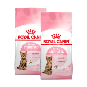 Zwei Beutel Royal Canin Kitten Sterilised Katzenfutter, entworfen für Kätzchen im Alter von 6-12 Monaten, mit einem verspielten Kätzchen auf der Verpackung.