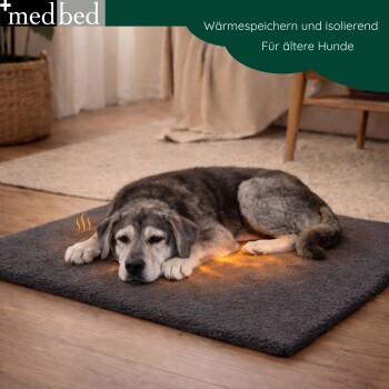 Golden Retriever Welpe liegt auf einem grauen, mit Fleece ausgekleideten Holzhaustierbett mit Metallbeinen.