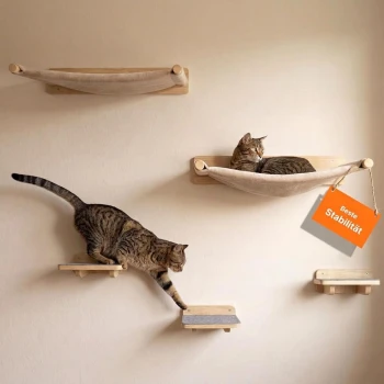Eine getigerte Katze, die auf einer hölzernen wandmontierten Hängematte entspannt, während eine andere getigerte Katze nach einem kleinen Regal darunter greift.