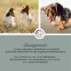 Zwei Hunde auf einem grasbewachsenen Feld und einer auf einem Weg. Text bewirbt 'Seetangmehl' als natürliche Jodquelle für Immunität und Wohlbefinden.