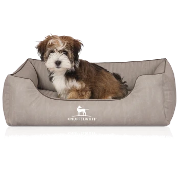 Flauschiger braun-weißer Welpe sitzt in einem grauen Hundebett mit weißem Hundelogo und dem Schriftzug 'KNUFFELWUFF'.