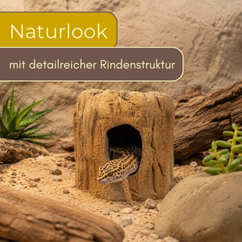 Leopardgecko, der aus einer hohlen Rindenhöhle in einem sandigen Terrarium hervorkommt; Text: 'Naturlook' und 'mit detailreicher Rindenstruktur'